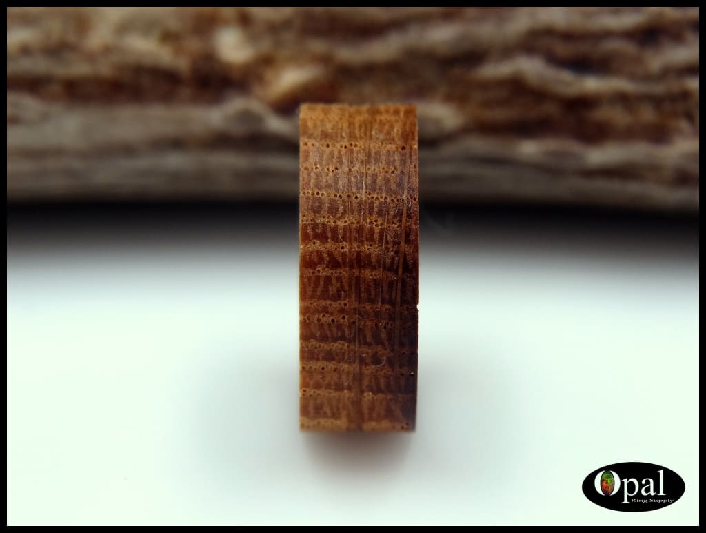 Revêtement annulaire en chêne pour fût de whisky