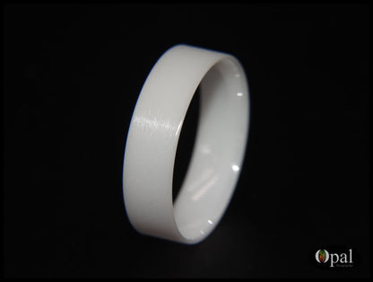 ceramic ring blank for inlay