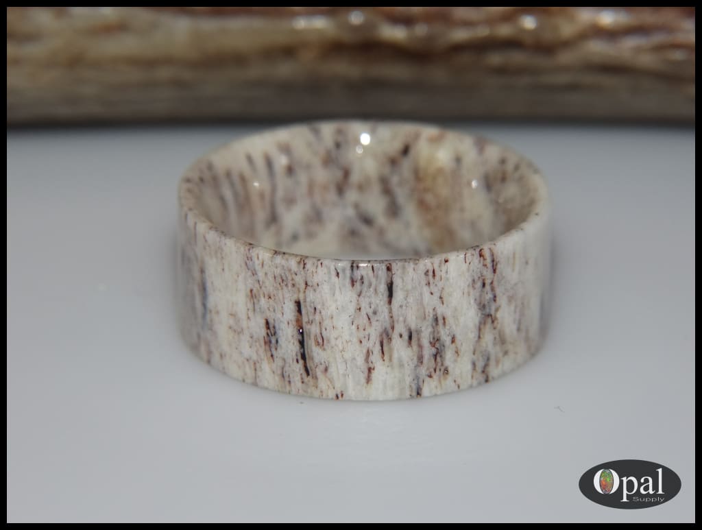Ring Blanks - Deer Antler – Opal Ring Supply